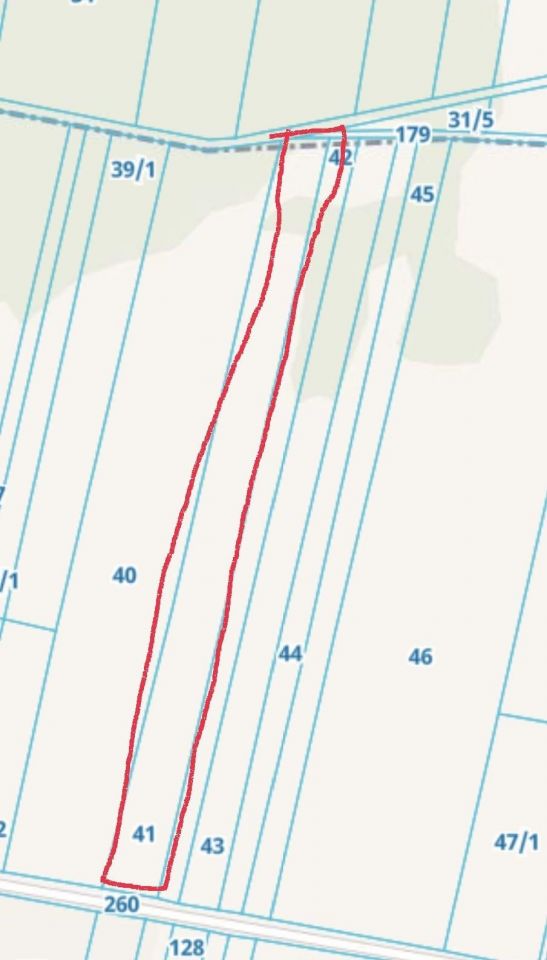 Działka rolno-budowlana Wacławów. Zdjęcie 2