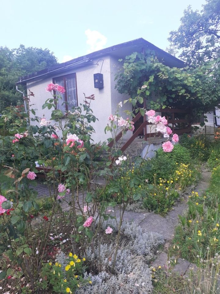 Działka rekreacyjna Jastrzębie-Zdrój