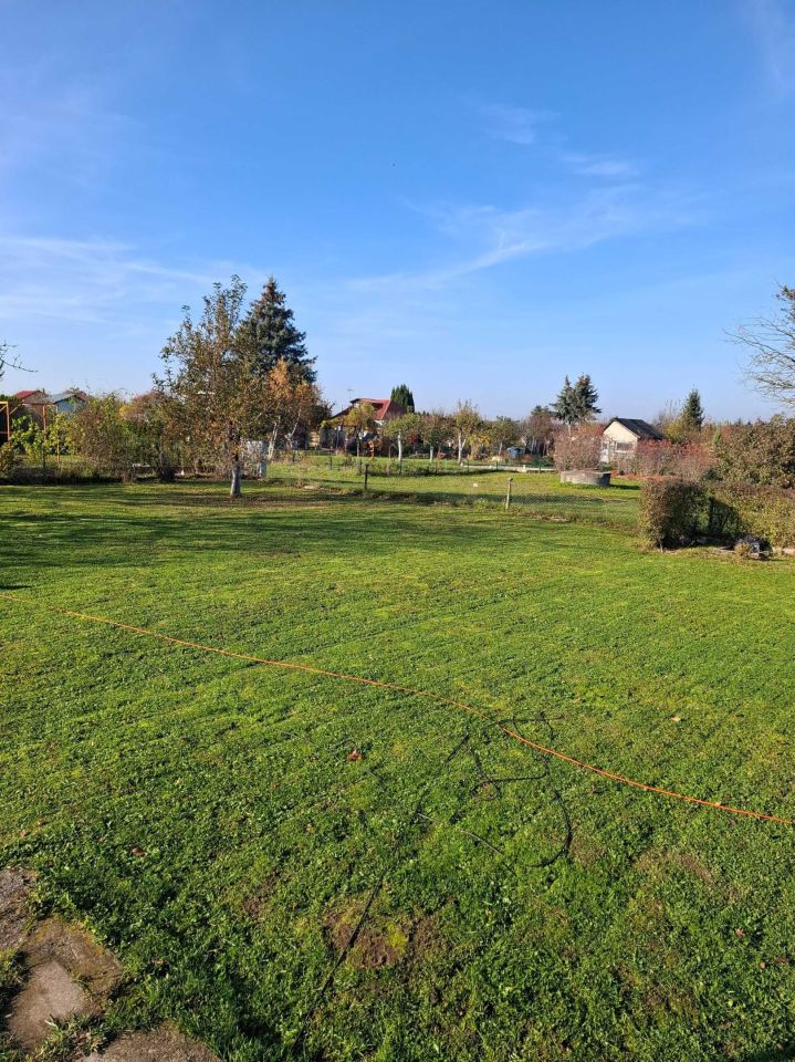 Działka rod Lubin. Zdjęcie 4