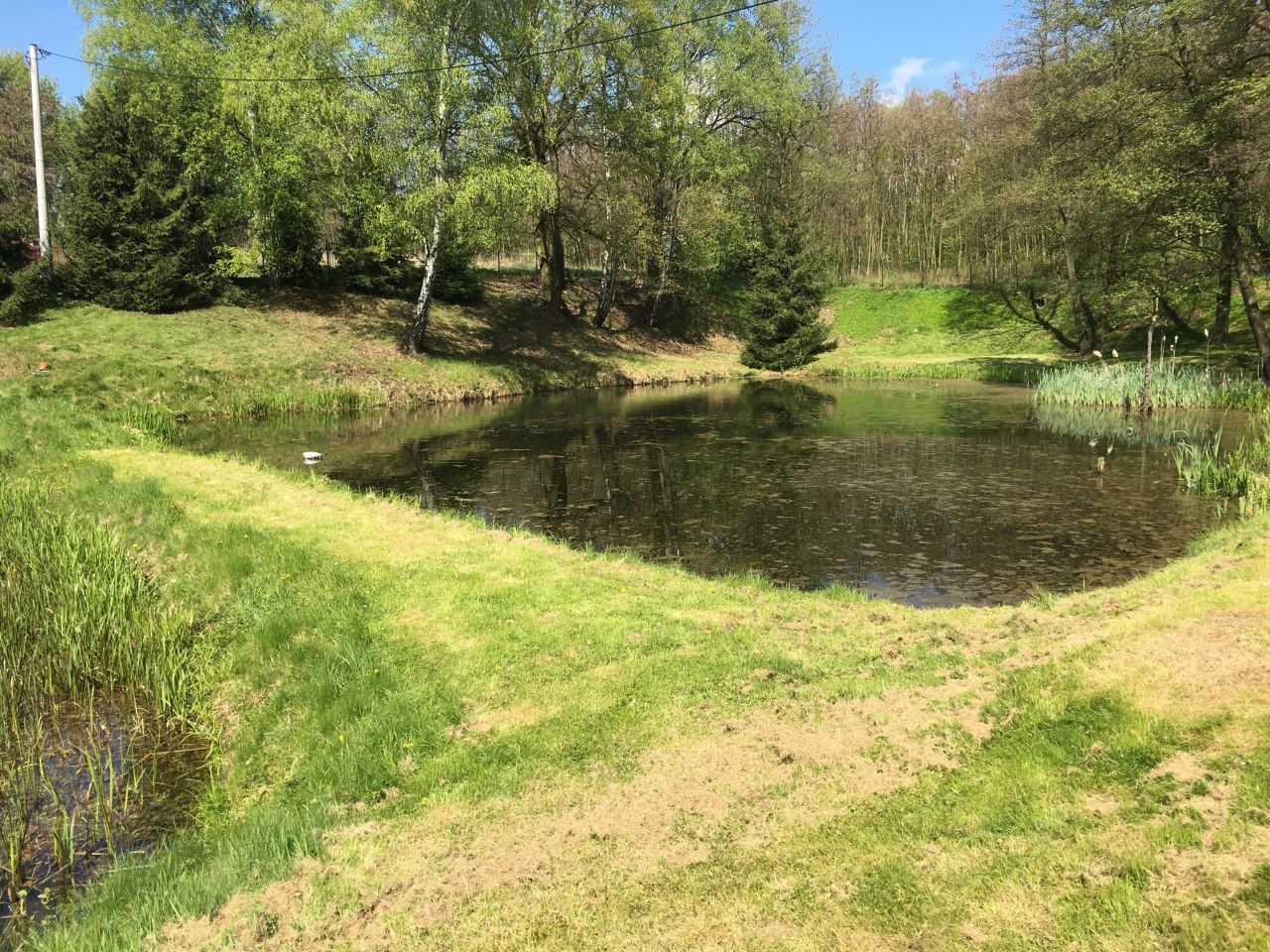 Działka rekreacyjna Mszana Boża Góra, ul. Boża Góra. Zdjęcie 6