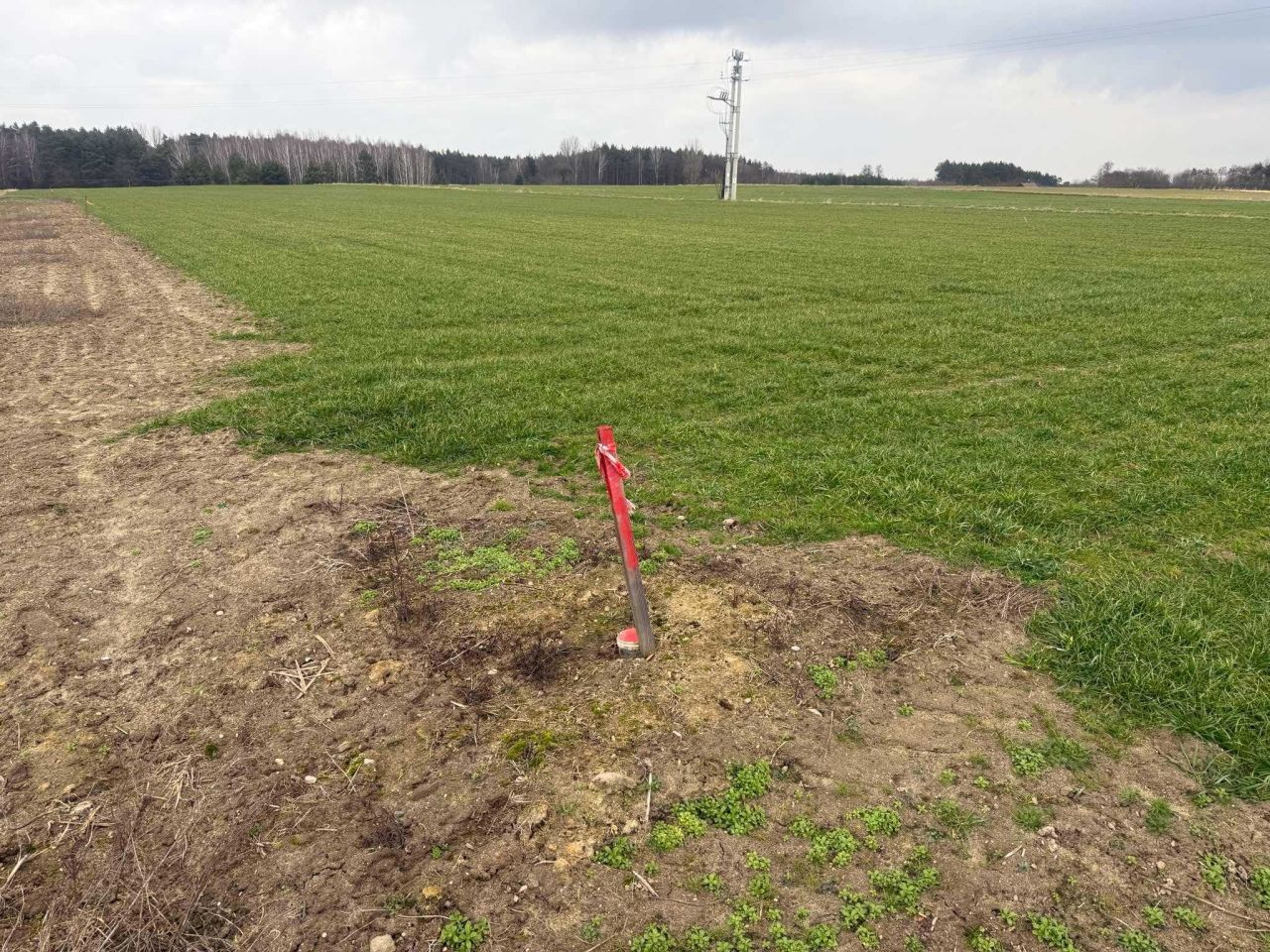 Działka budowlana Majaczewice. Zdjęcie 6