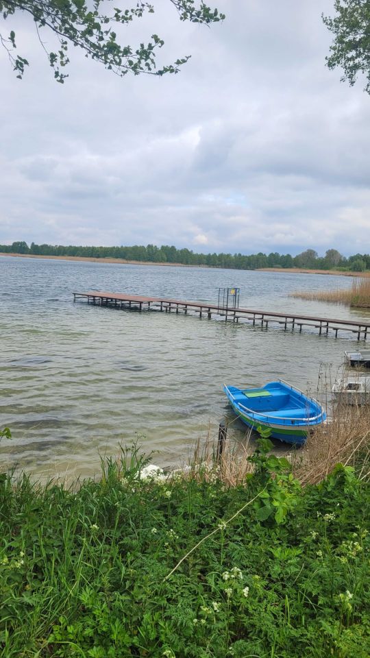 Działka rekreacyjna Miłachówek. Zdjęcie 5