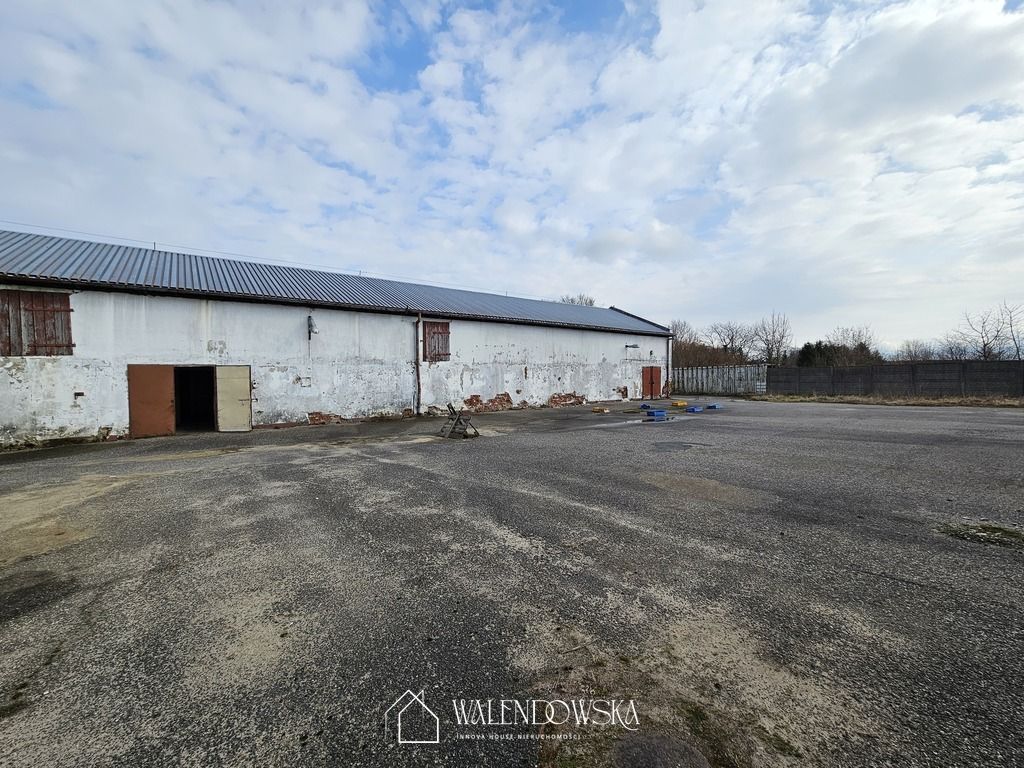 Hala/magazyn Staniewice. Zdjęcie 10