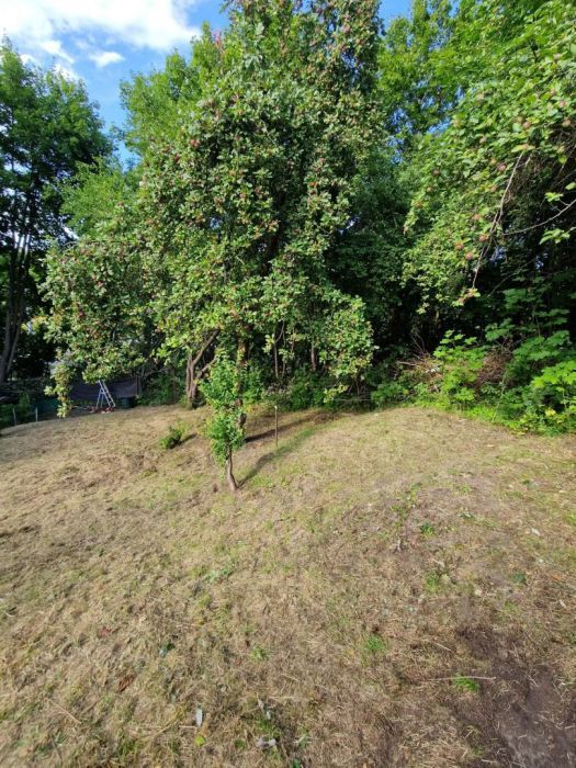 Działka rod Gdańsk Morena. Zdjęcie 8