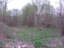 Działka budowlana Pęczerzyno. Zdjęcie 1