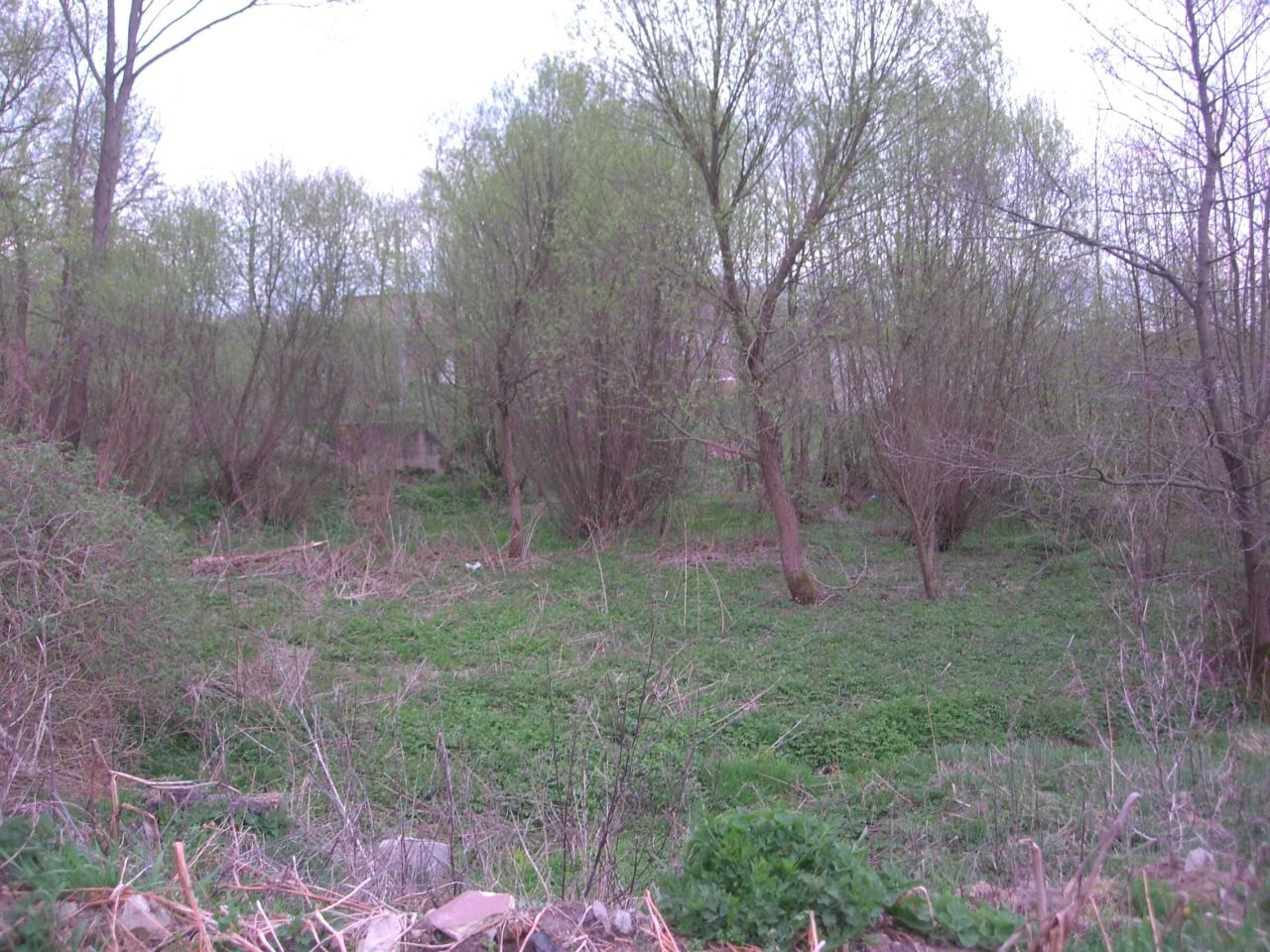 Działka budowlana Pęczerzyno. Zdjęcie 2