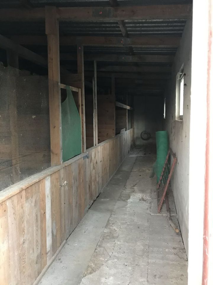 gospodarstwo Czerlejno. Zdjęcie 6