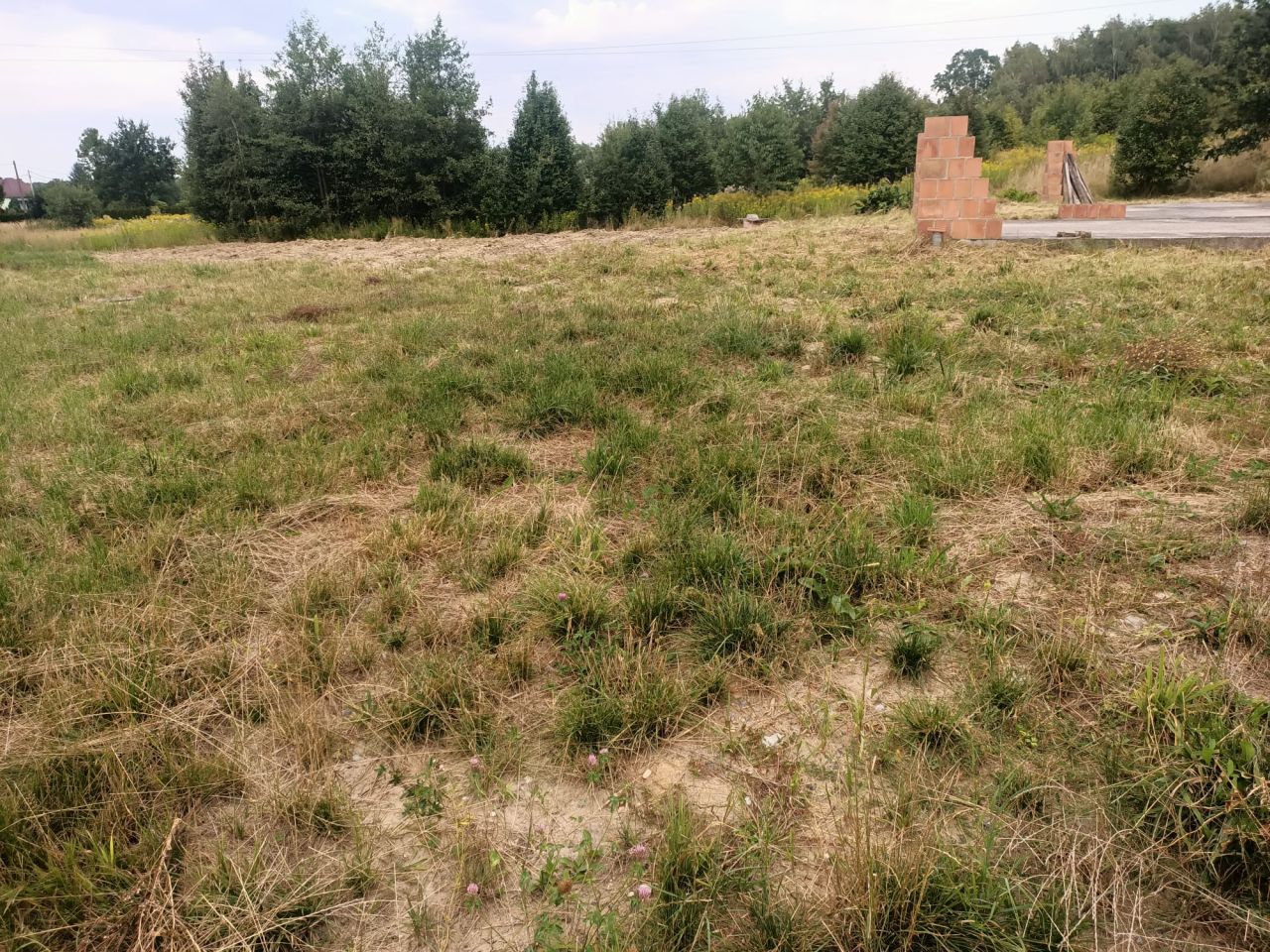 Działka budowlana Zaczarnie Podlesie. Zdjęcie 2