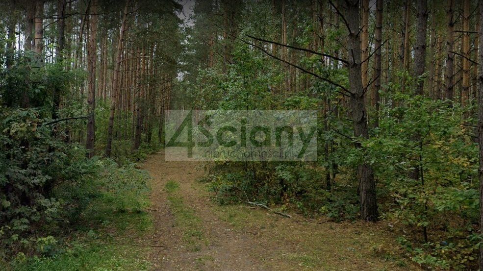 Działka budowlana Ojrzanów. Zdjęcie 13