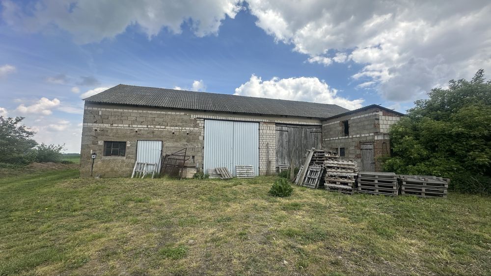 Działka rolna Karniszewo. Zdjęcie 4