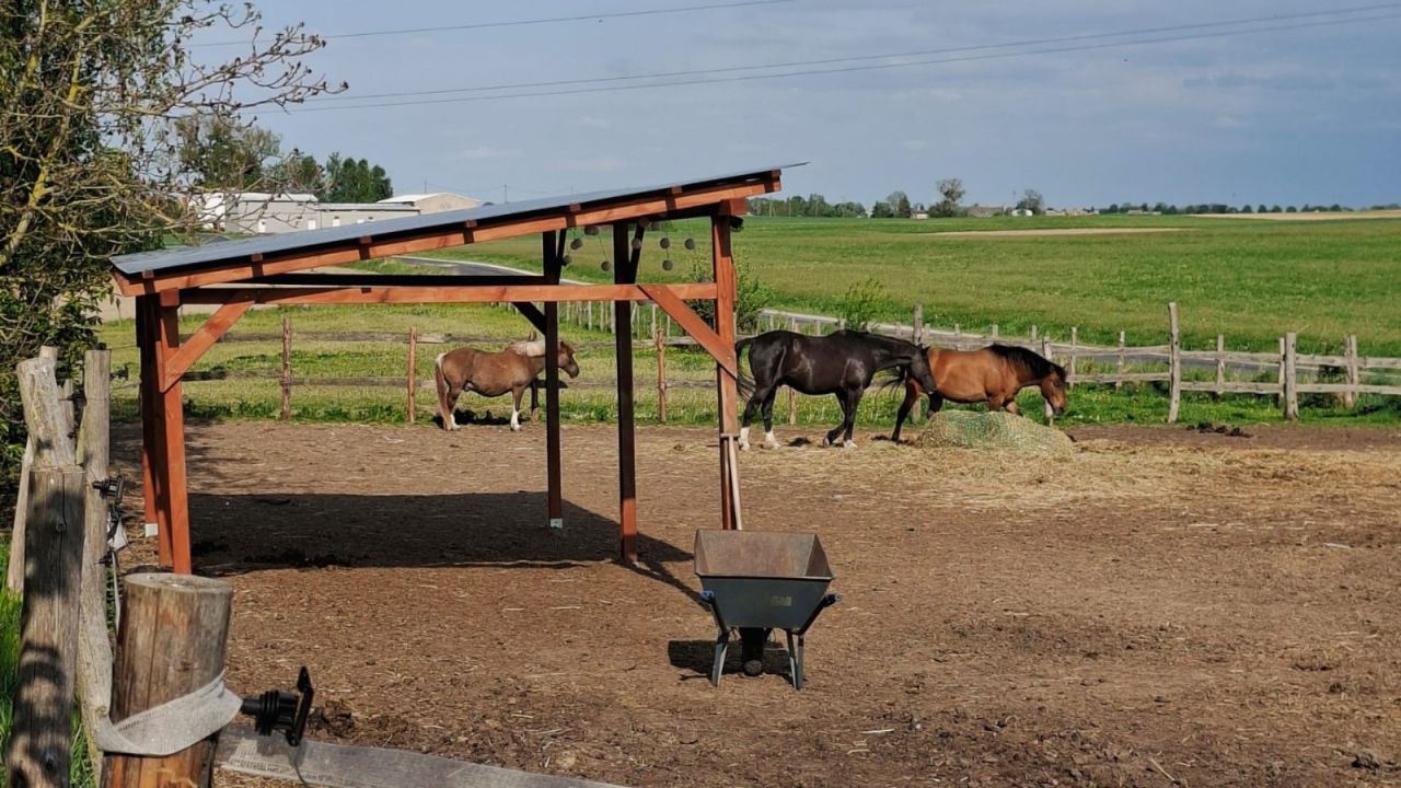 dom wolnostojący, 2 pokoje Szychowo. Zdjęcie 14