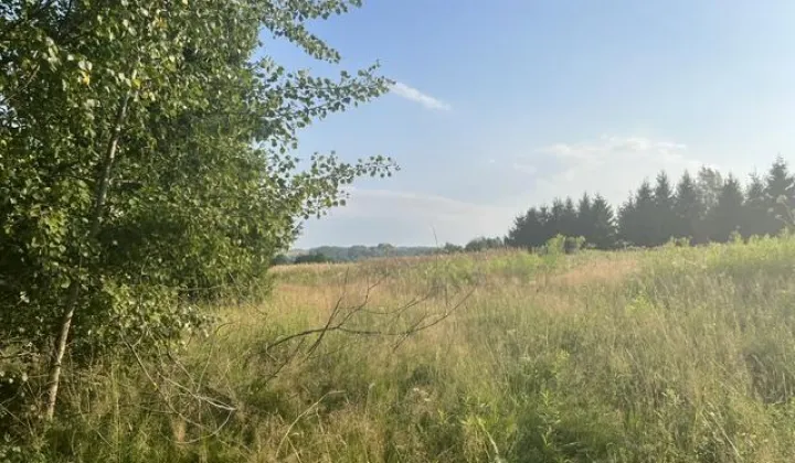 Działka budowlana Ołpiny