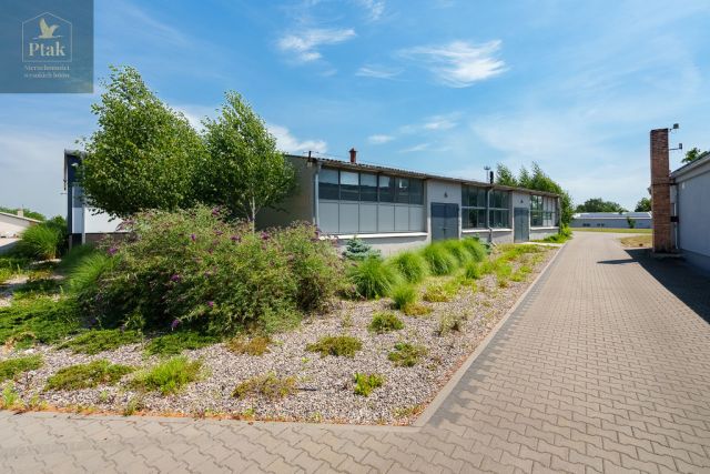 Lokal Ostroróg. Zdjęcie 12