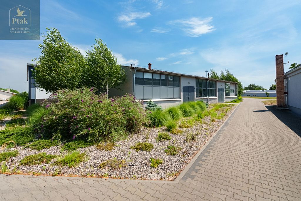 Lokal Ostroróg. Zdjęcie 12