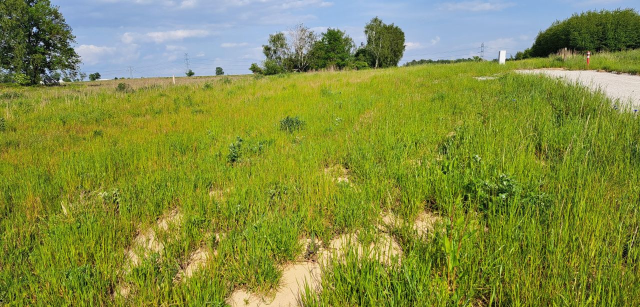 Działka budowlana Sośnicowice, ul. Gimnazjalna. Zdjęcie 4