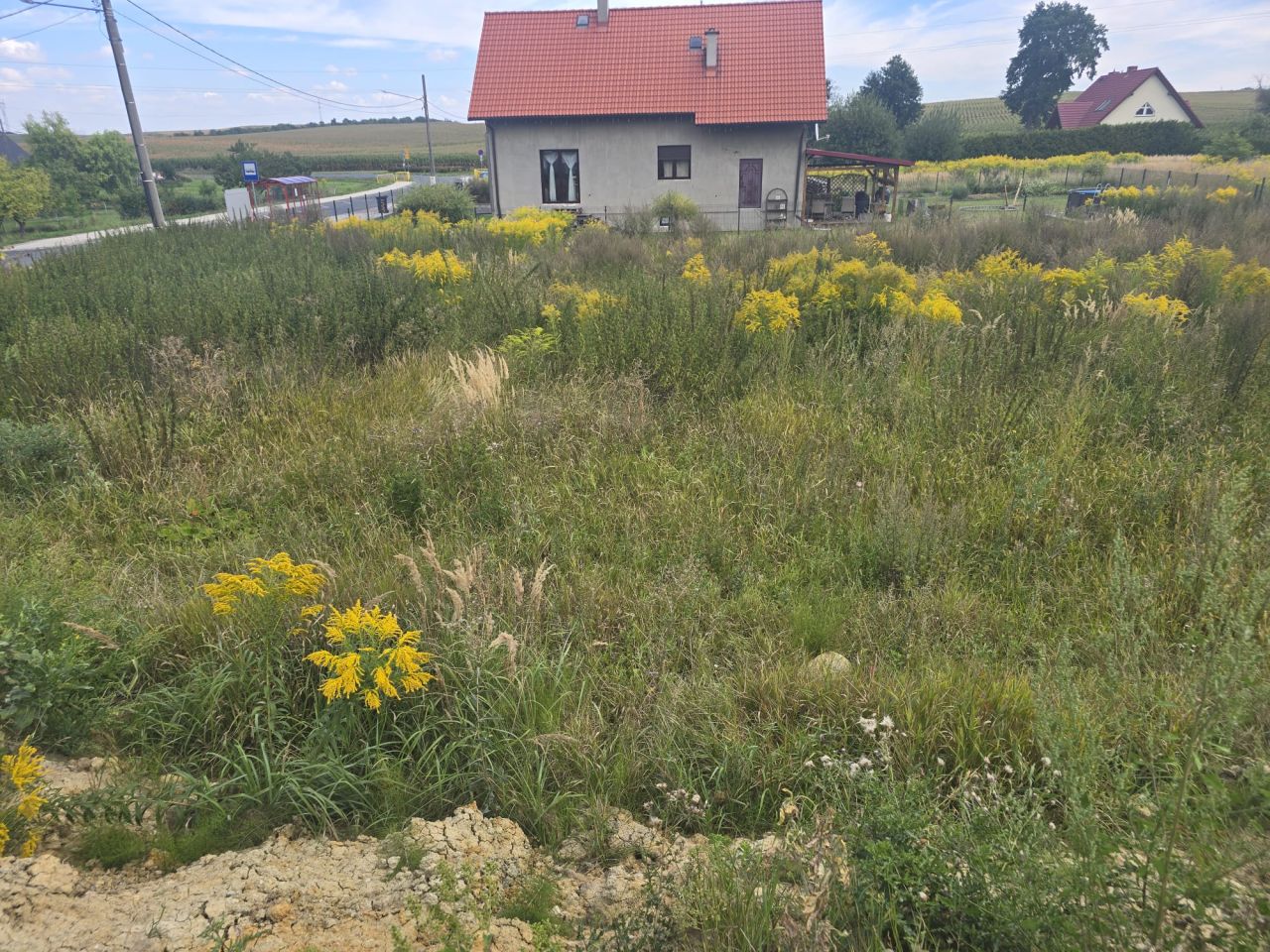 Działka budowlana Łagoszów Mały. Zdjęcie 6