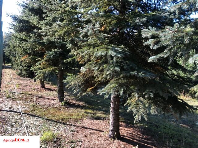 Działka budowlana Marynin. Zdjęcie 10