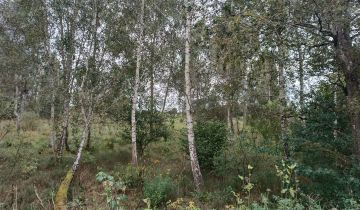 Działka rolno-budowlana Gradki