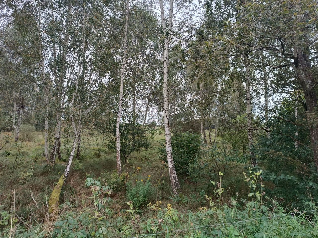 Działka rolno-budowlana Gradki