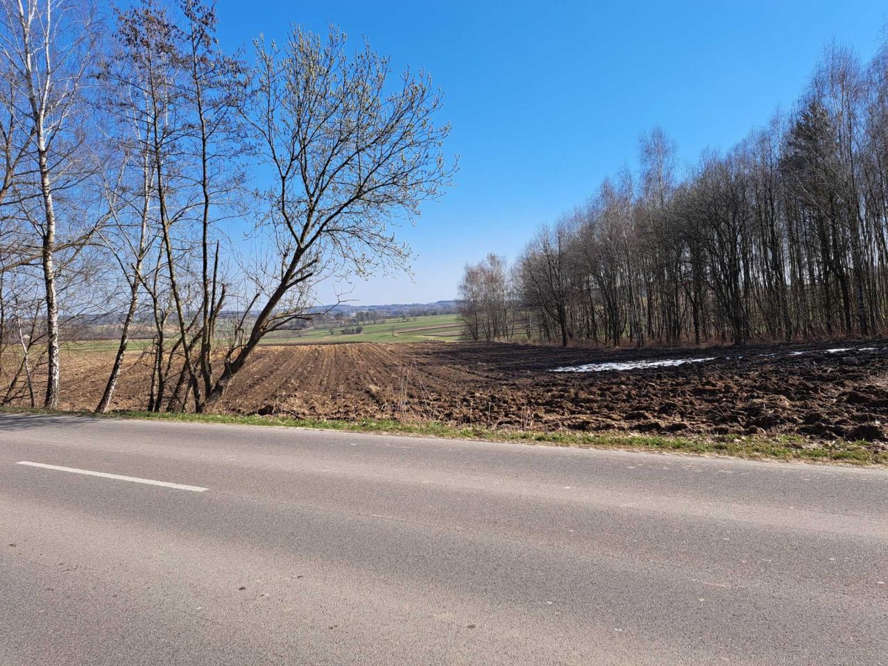 Działka rolna Rachodoszcze. Zdjęcie 5