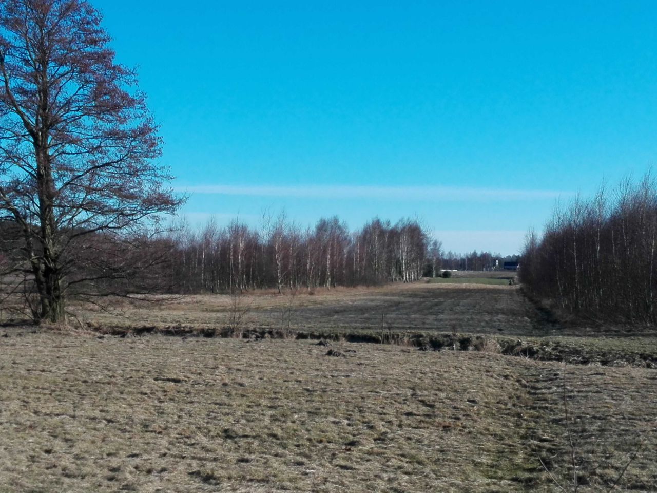 Działka inwestycyjna Ostrówek. Zdjęcie 3