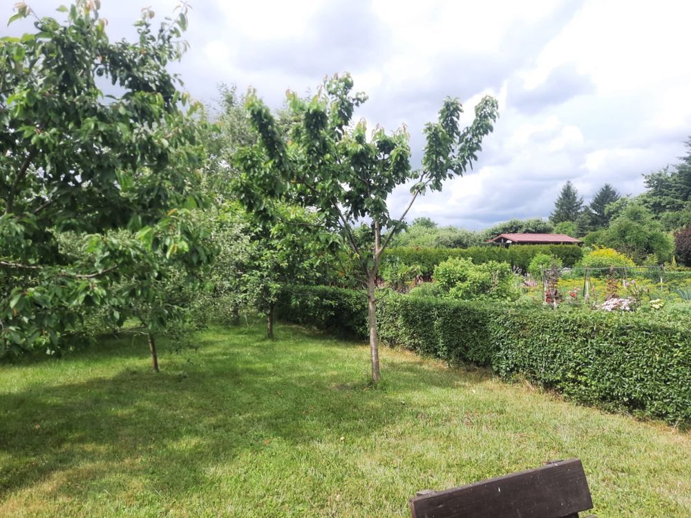 Działka rod Szczecinek. Zdjęcie 7