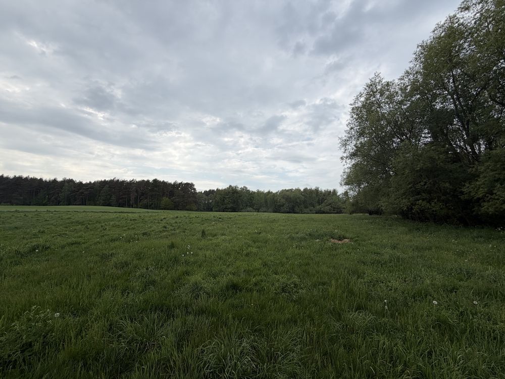 Działka budowlana Tomki. Zdjęcie 3
