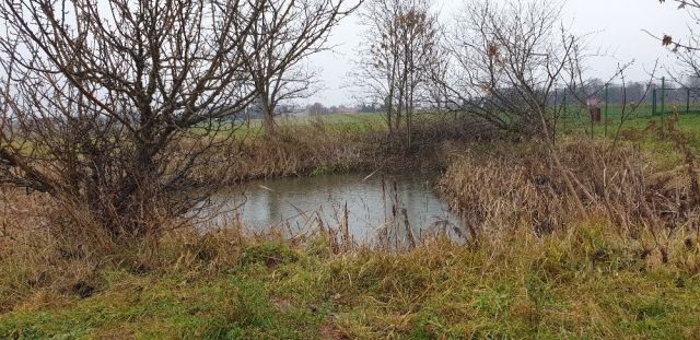 Działka budowlana Widoradz Górny. Zdjęcie 1