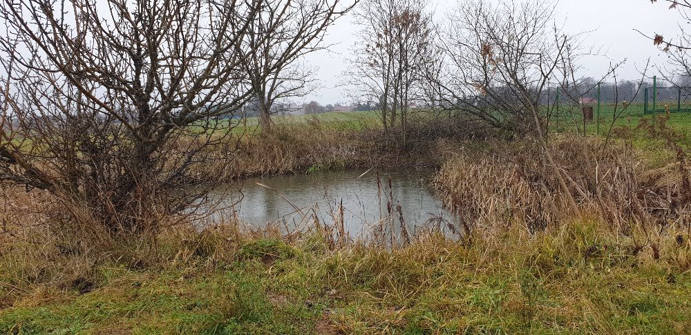 Działka budowlana Widoradz Górny. Zdjęcie 1