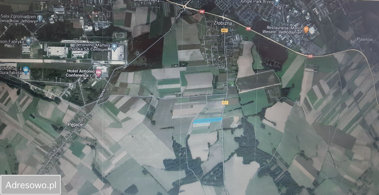 Działka rolna Żłobizna