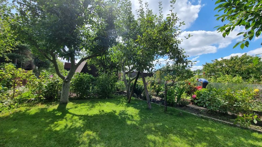 Działka rod Gdańsk Zabornia, ul. Łabędzia. Zdjęcie 8