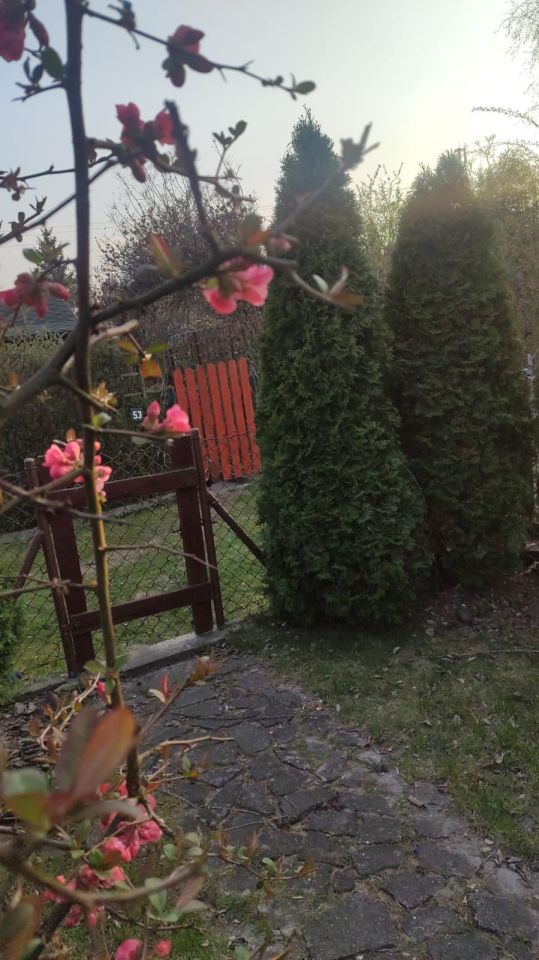 Działka rod Sochaczew. Zdjęcie 3