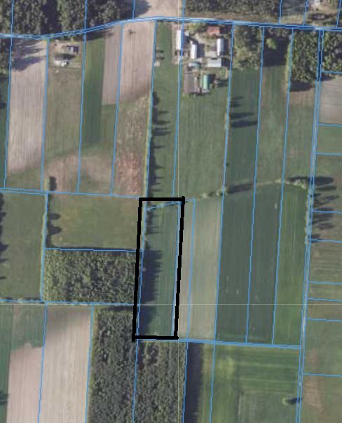 Działka rolna Żerocin. Zdjęcie 2