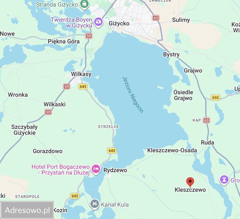 Działka rolna Kleszczewo. Zdjęcie 3