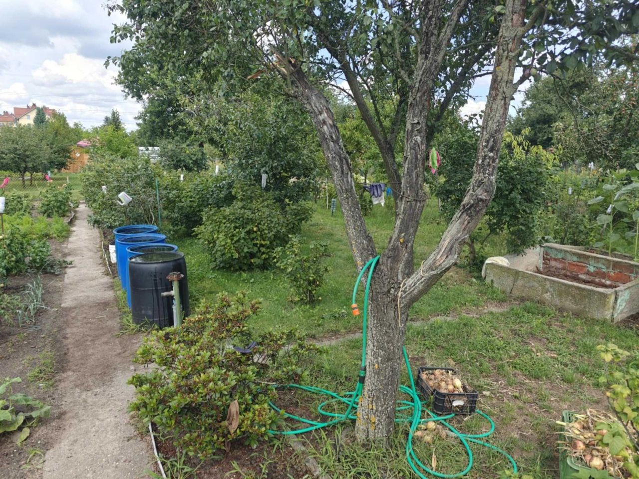 Działka rod Wrocław Stabłowice. Zdjęcie 4