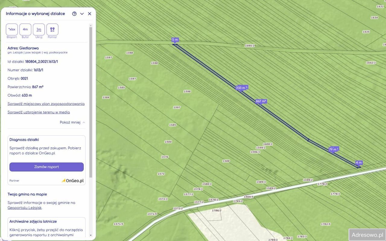 Działka leśna Giedlarowa. Zdjęcie 1