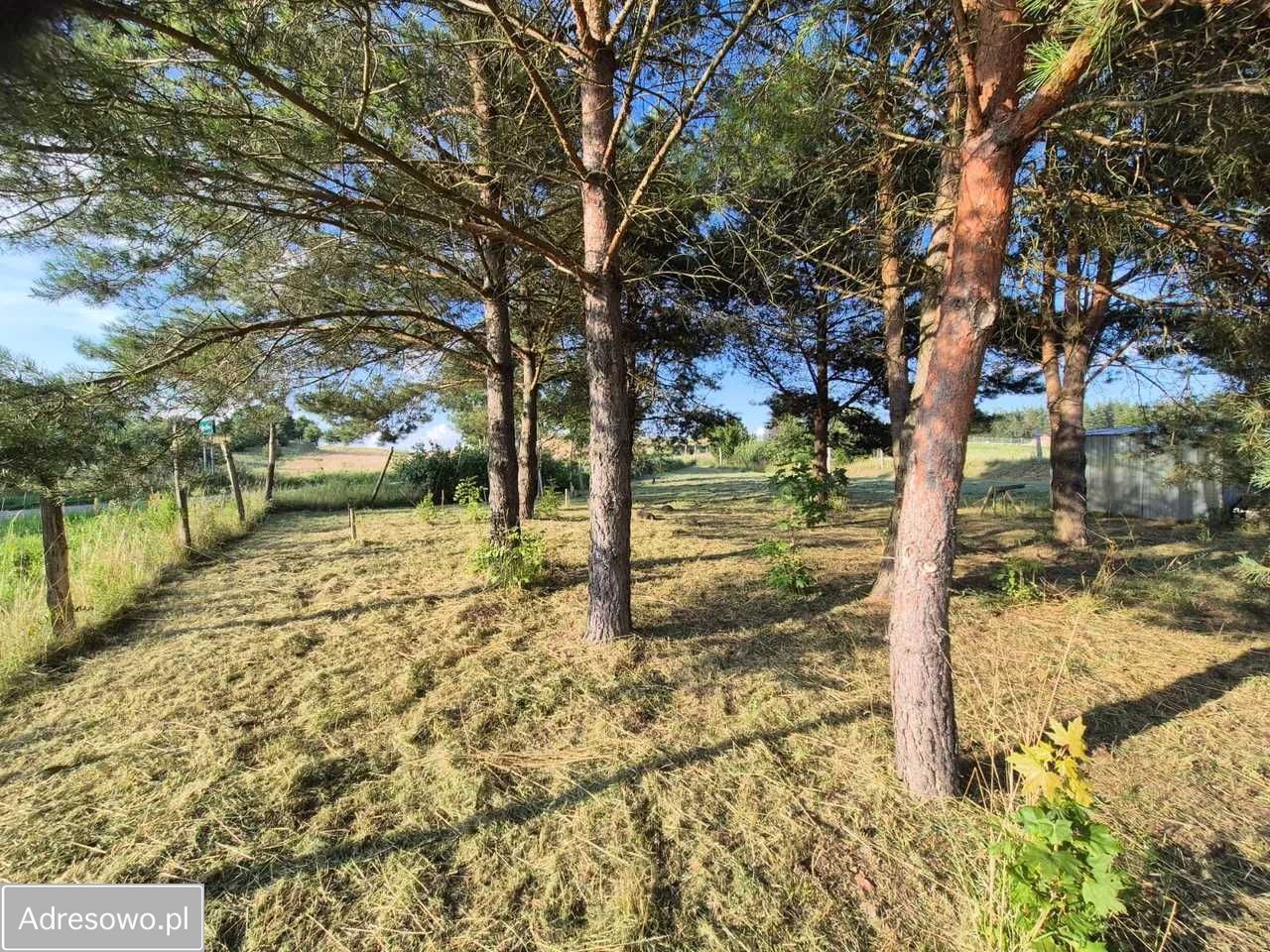 Działka budowlana Krzywe. Zdjęcie 7