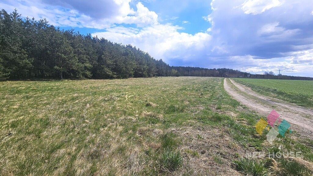 Działka budowlana Świętajno, ul. Grunwaldzka. Zdjęcie 12