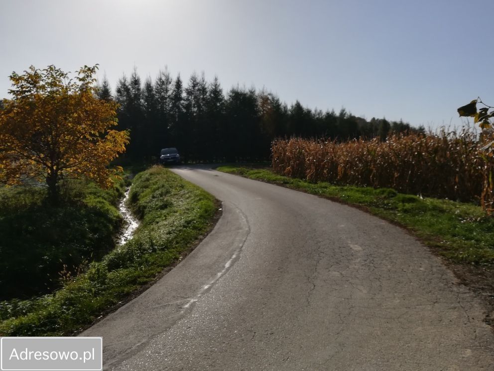 Działka budowlana Bielowicko. Zdjęcie 7