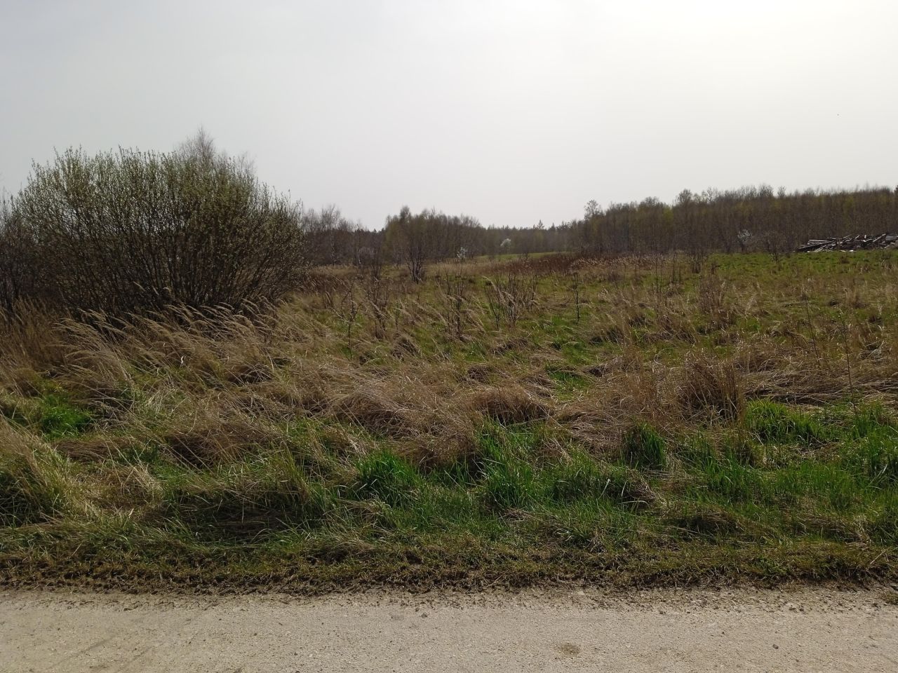 Działka rolno-budowlana Radomsko Stobiecko Miejskie, ul. Częstochowska. Zdjęcie 3