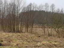 Działka rolna Sierosławek. Zdjęcie 4