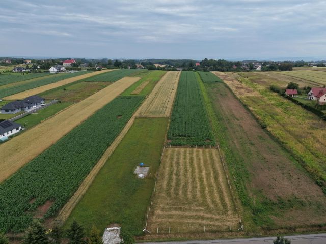 Działka budowlana Bębło, ul. Zachodnia. Zdjęcie 1