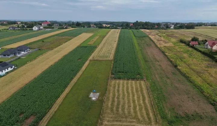 Działka budowlana Bębło, ul. Zachodnia