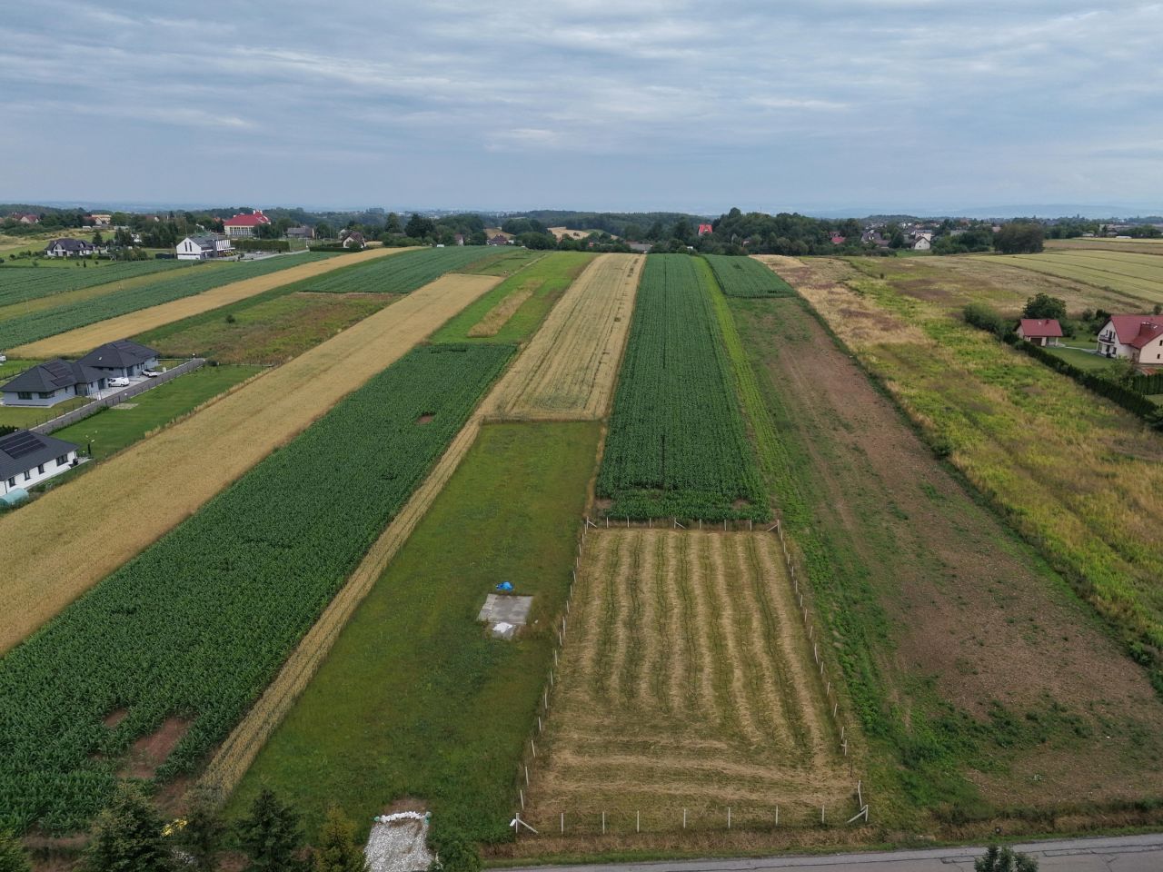 Działka budowlana Bębło, ul. Zachodnia. Zdjęcie 1