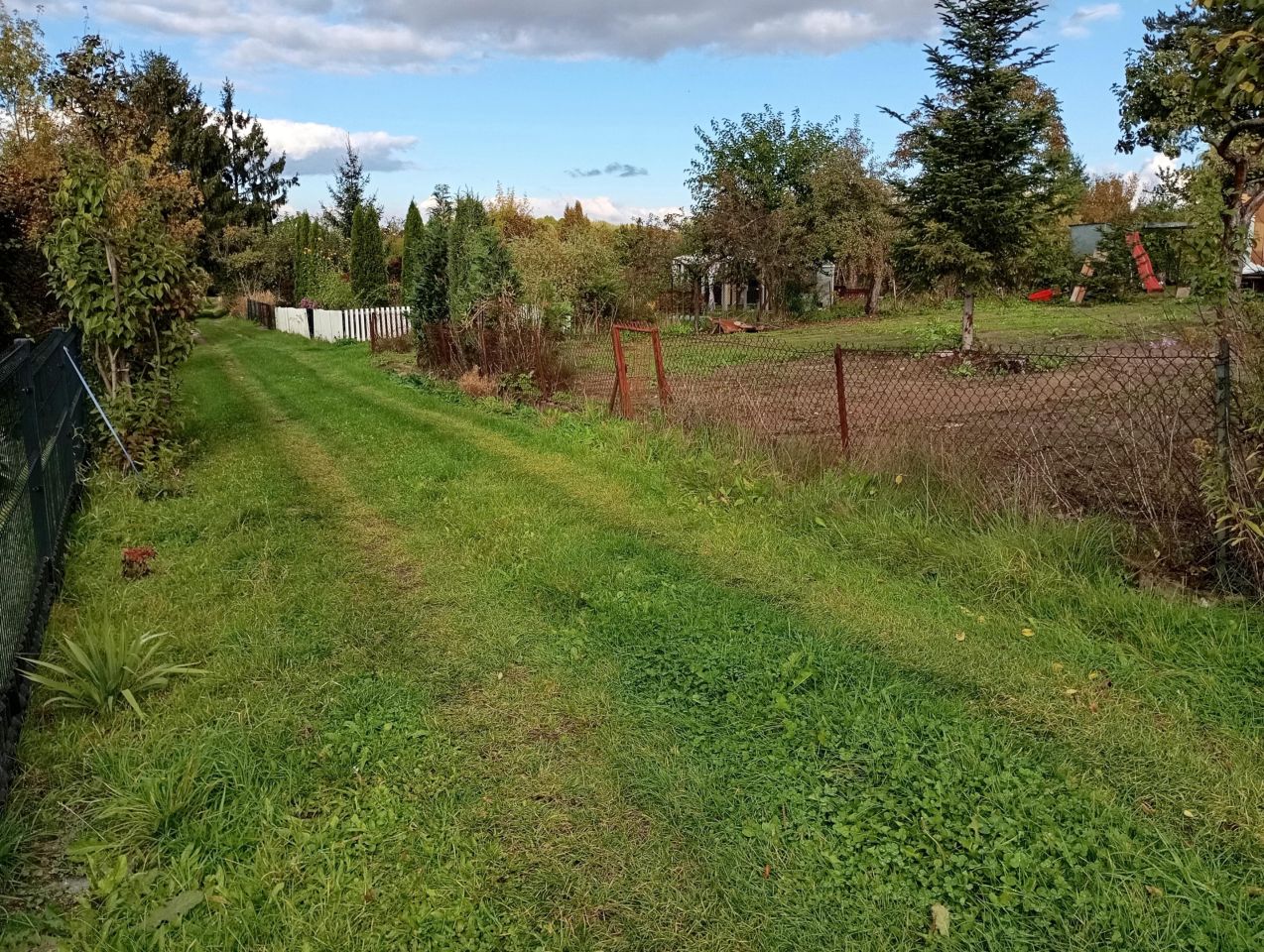 Działka rod Radom Kierzków, ul. Kielecka 118A. Zdjęcie 4