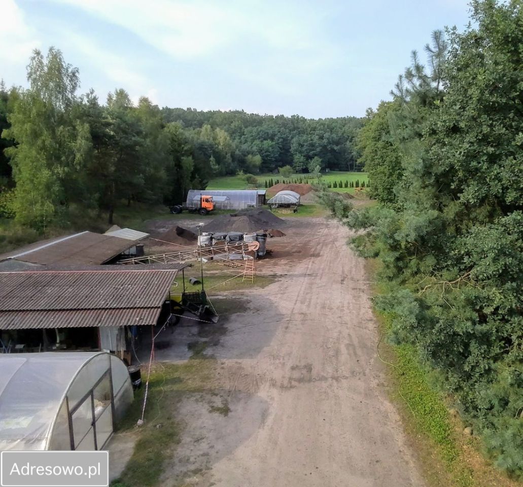 Działka siedliskowa Roszkowo Roszkówko. Zdjęcie 13