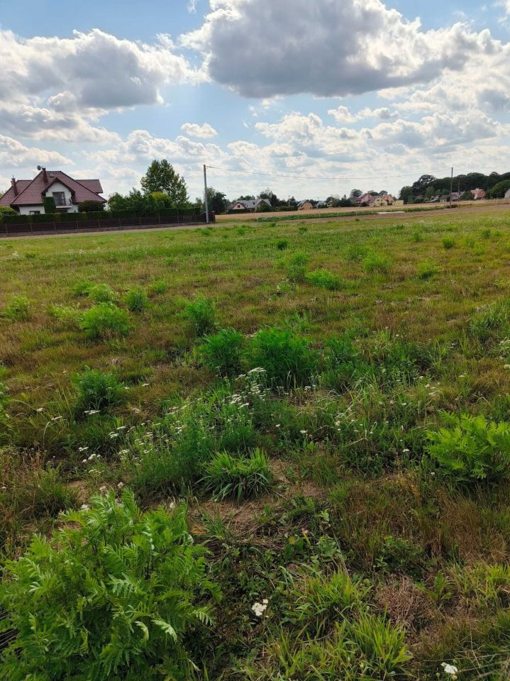 Działka budowlana Żyraków. Zdjęcie 6