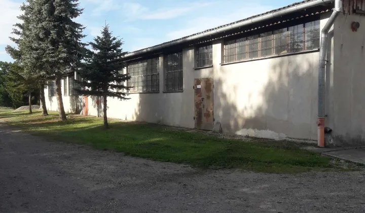 Hala/magazyn Kolincz