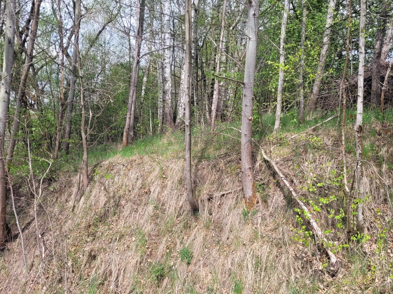 Działka budowlana Naprawa. Zdjęcie 4