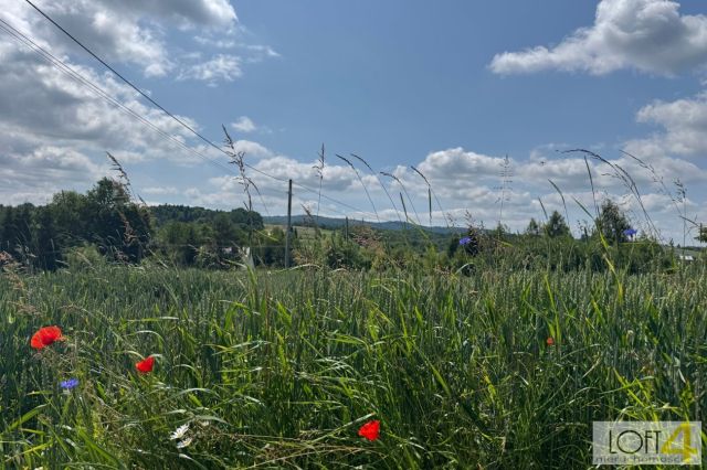 Działka budowlana Tuchów. Zdjęcie 3